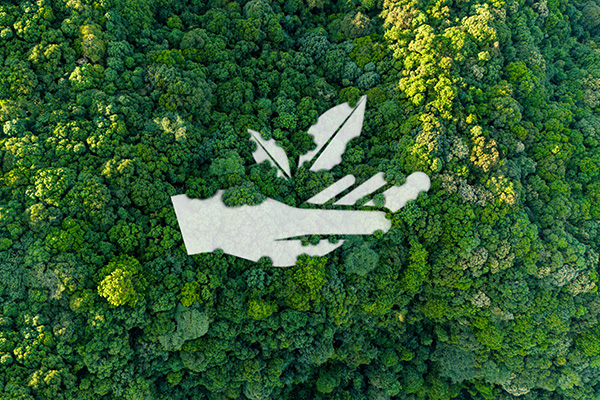 O Mercado de Carbono no Brasil