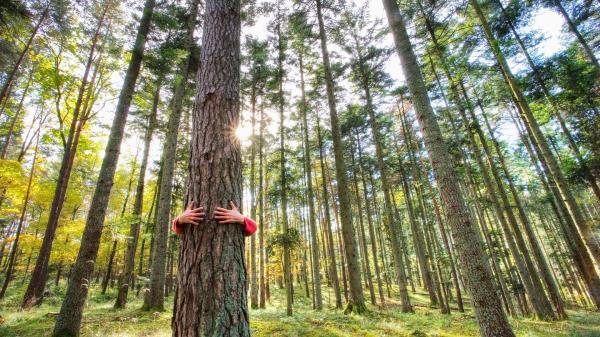 Certificazione “Do No Significant Harm” (DNSH)