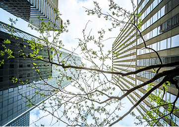 ESG & Sustainability