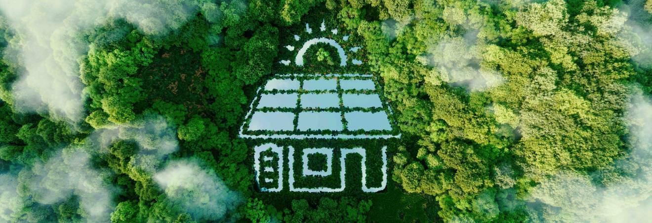 LEONARDO LIFE project