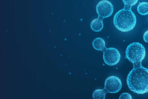 RINA Indonesia hydrogen