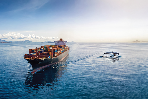 Singapore maritime week 2025