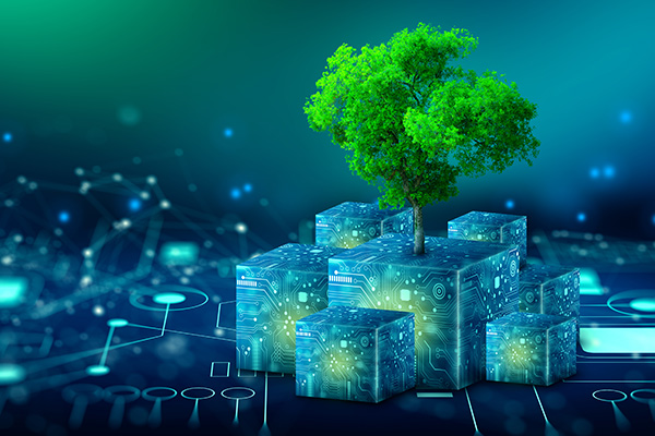 Webinar digital assurance