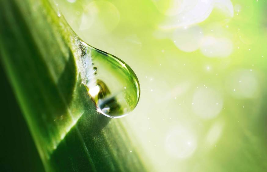 Alternative fuels: from niche solutions to pillars of the Energy Transition