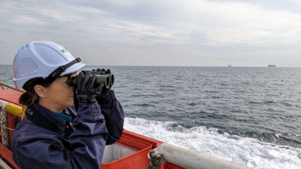 How to ensure offshore activities align with marine species conservation?