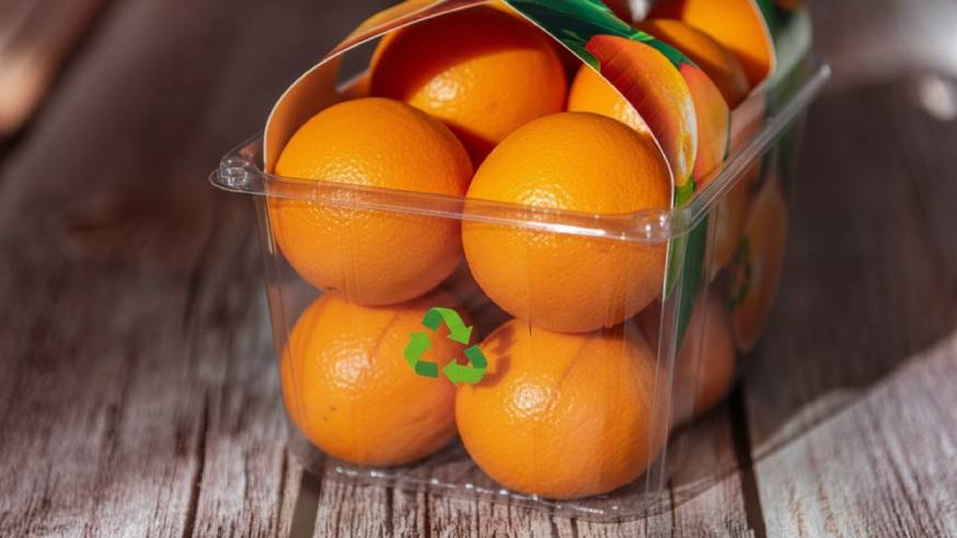 RINA Food Contact Recycled Plastics Audit Protocol 