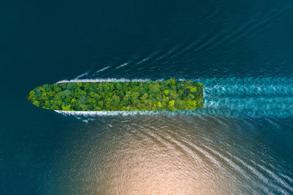 The future of the shipping industry 