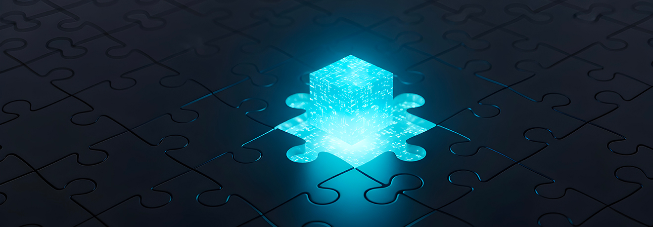 RINA Digital Solutions