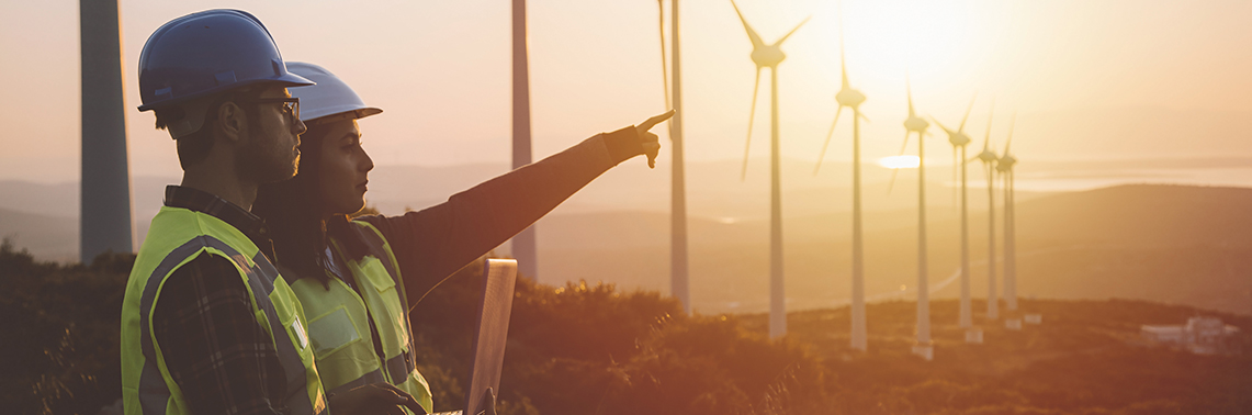 RINA North America renewables