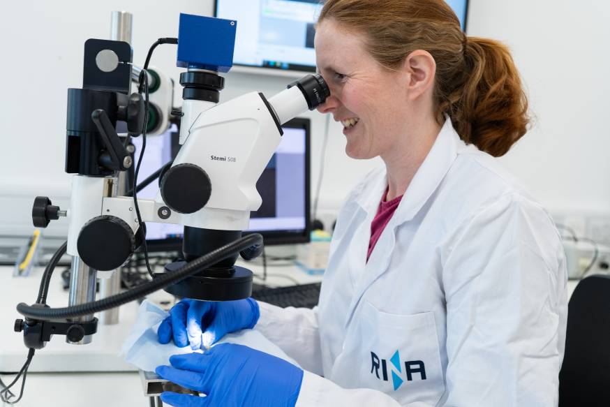 RINA asset integrity services