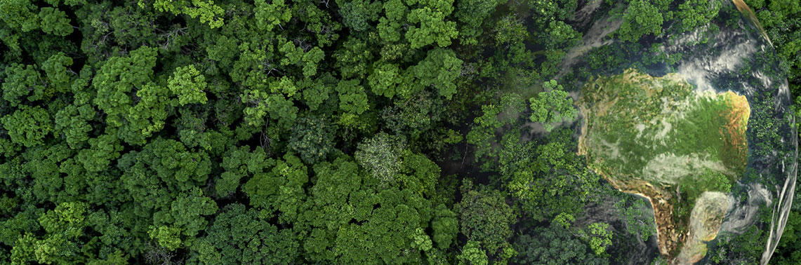 RINA North America ESG & Sustainability