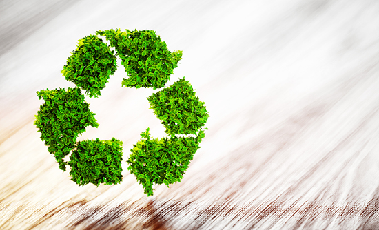 RINA Product Regulatory Compliance