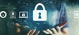 Company Cybersecurity Officer 