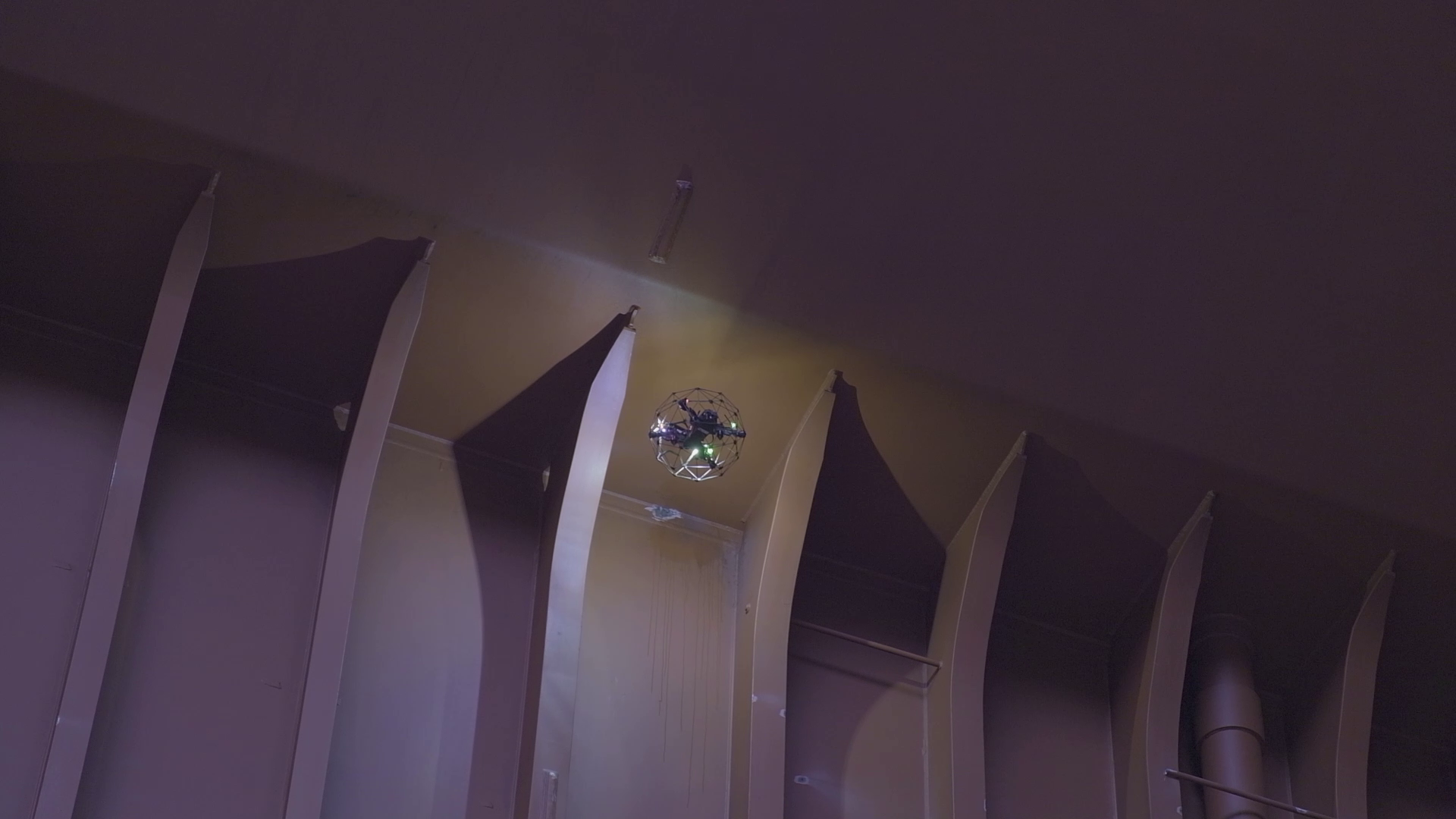 robins-project-webinar