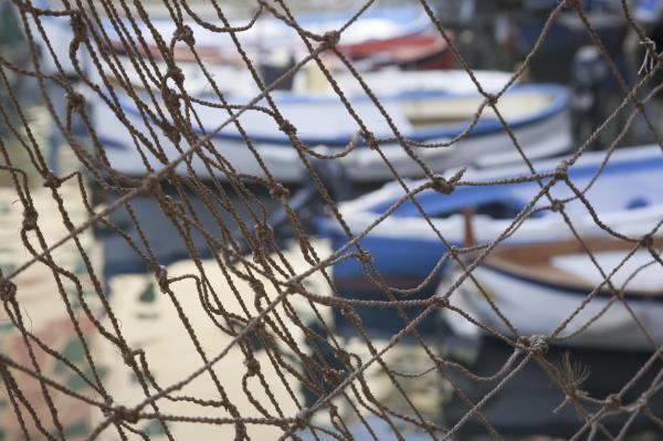 Passenger Yacht Code maritime training course