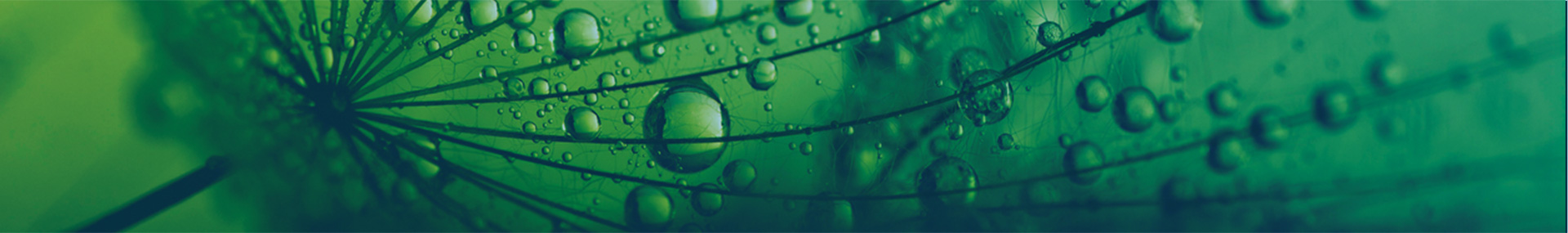 Counter Case Study Open-ES