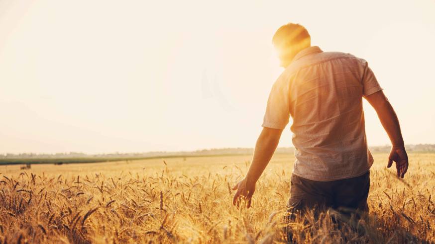 Certificación de Biodiversity Friend