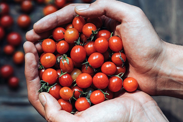 RINA food learning hub