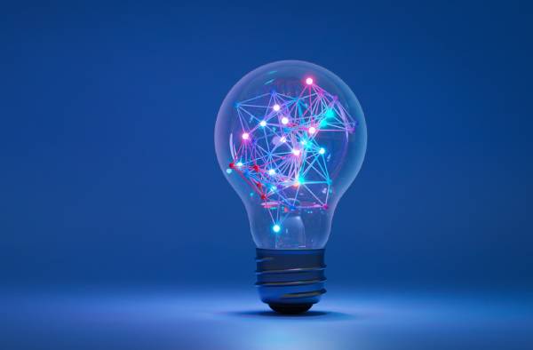 RINA Digital Experience