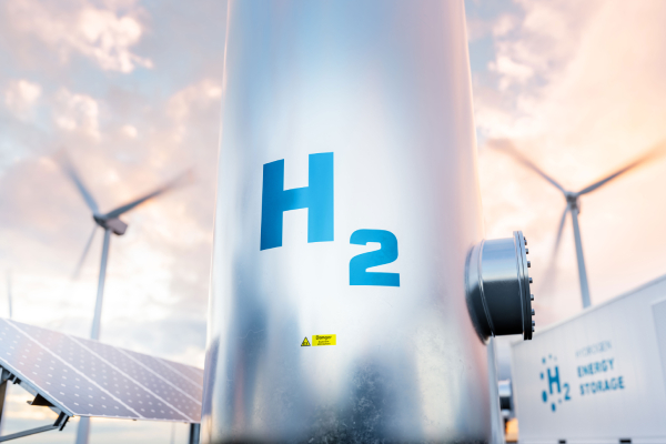 Esperto in Operation & Maintenance sistemi H2 based