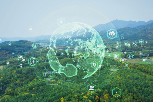 Enviromnment and sustainability