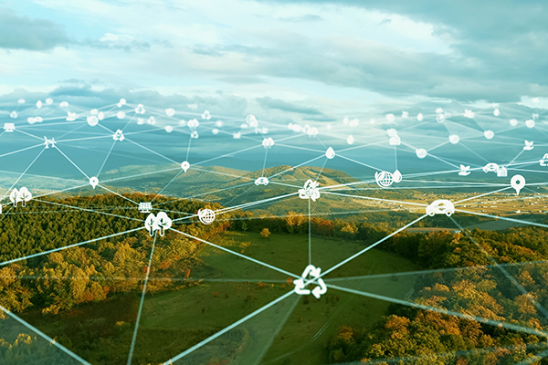 Inventario dei gas a effetto serra delle organizzazioni