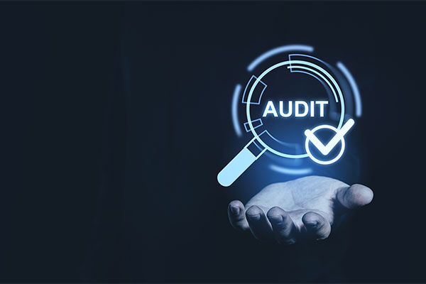  Auditor Interni di Sistemi di Gestione