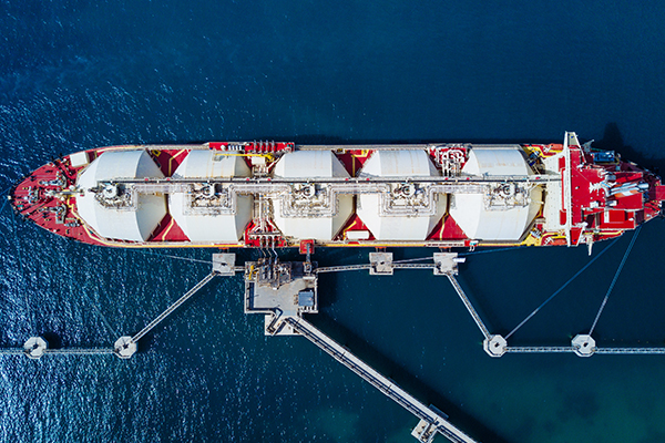 Vetting Inspection for Dry Bulk Vessels