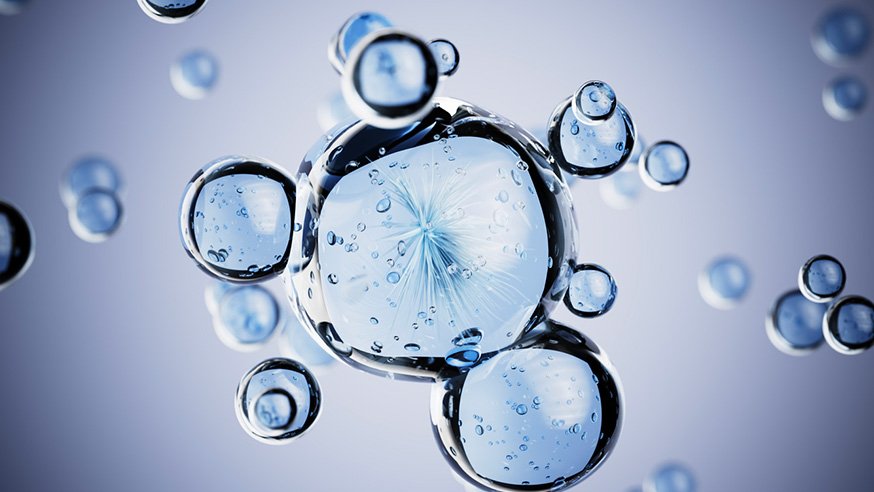 RINA decarbonisation