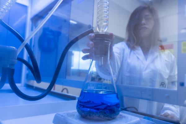 SSM lab - metallography