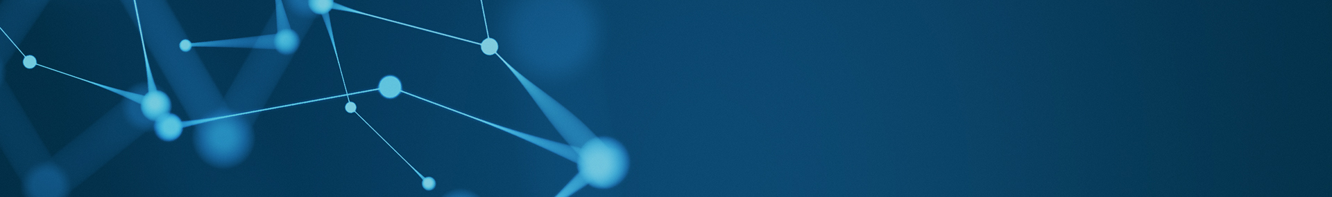 RINA Digital Partner