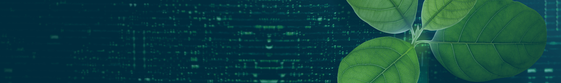 Net Zero Product Certification: your real-time digital certificate